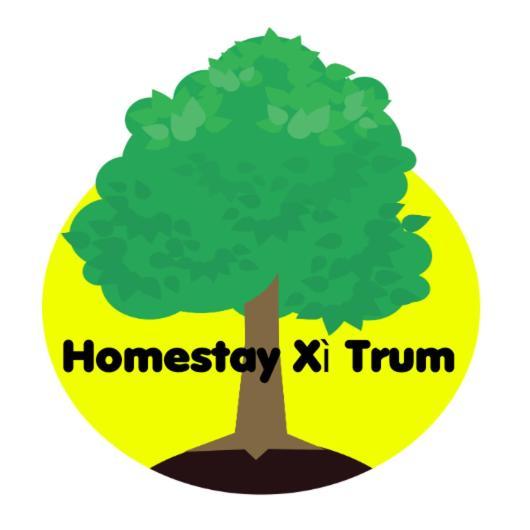 Homestay XI Trum 岘港 外观 照片